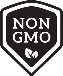 15 WHITE Baby Boo MINI PUMPKIN Miniature Cucurbita Pepo Vegetable Seeds