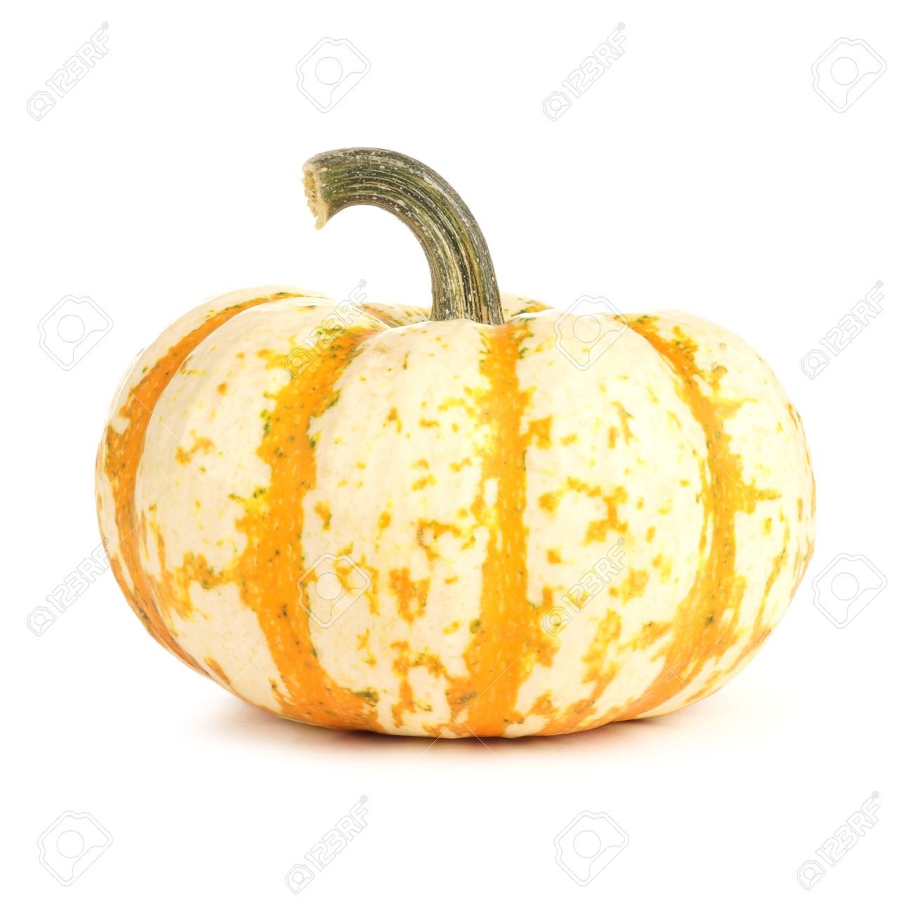 15 Dwarf Tiger Striped Pumpkin Seeds - Unique and Rare Vegetable Seeds - 15 Seeds