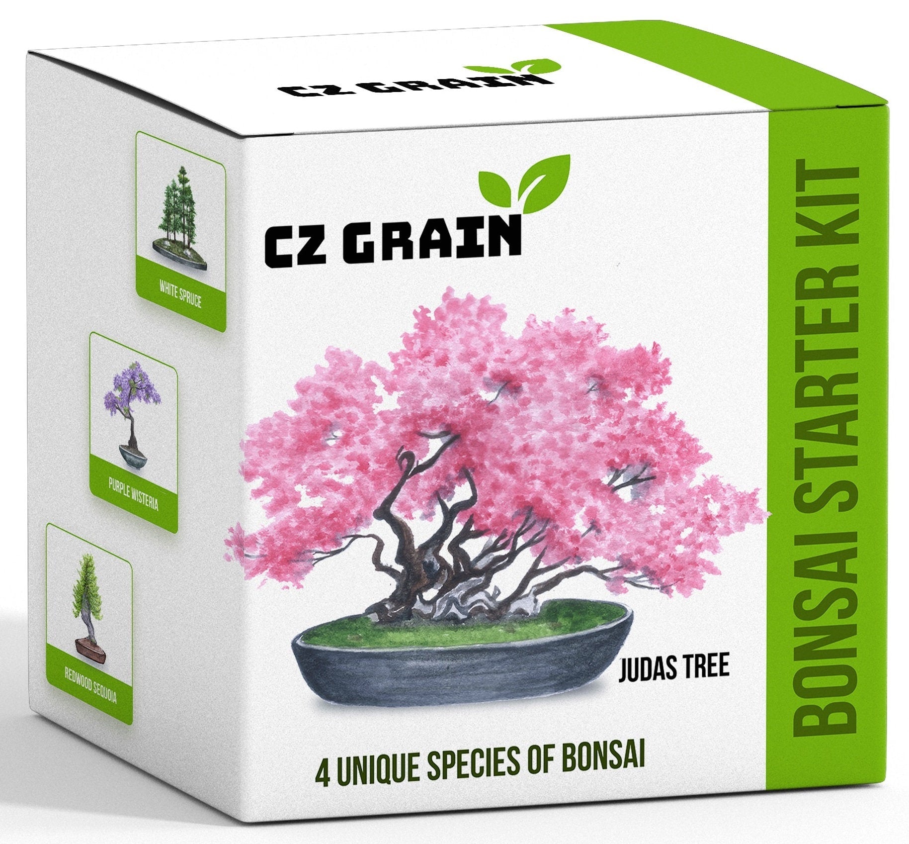cherry blossom bonsai tree seeds Bonsai Tree Kit - Grow 4 Types of Bonsai Tree from Seed