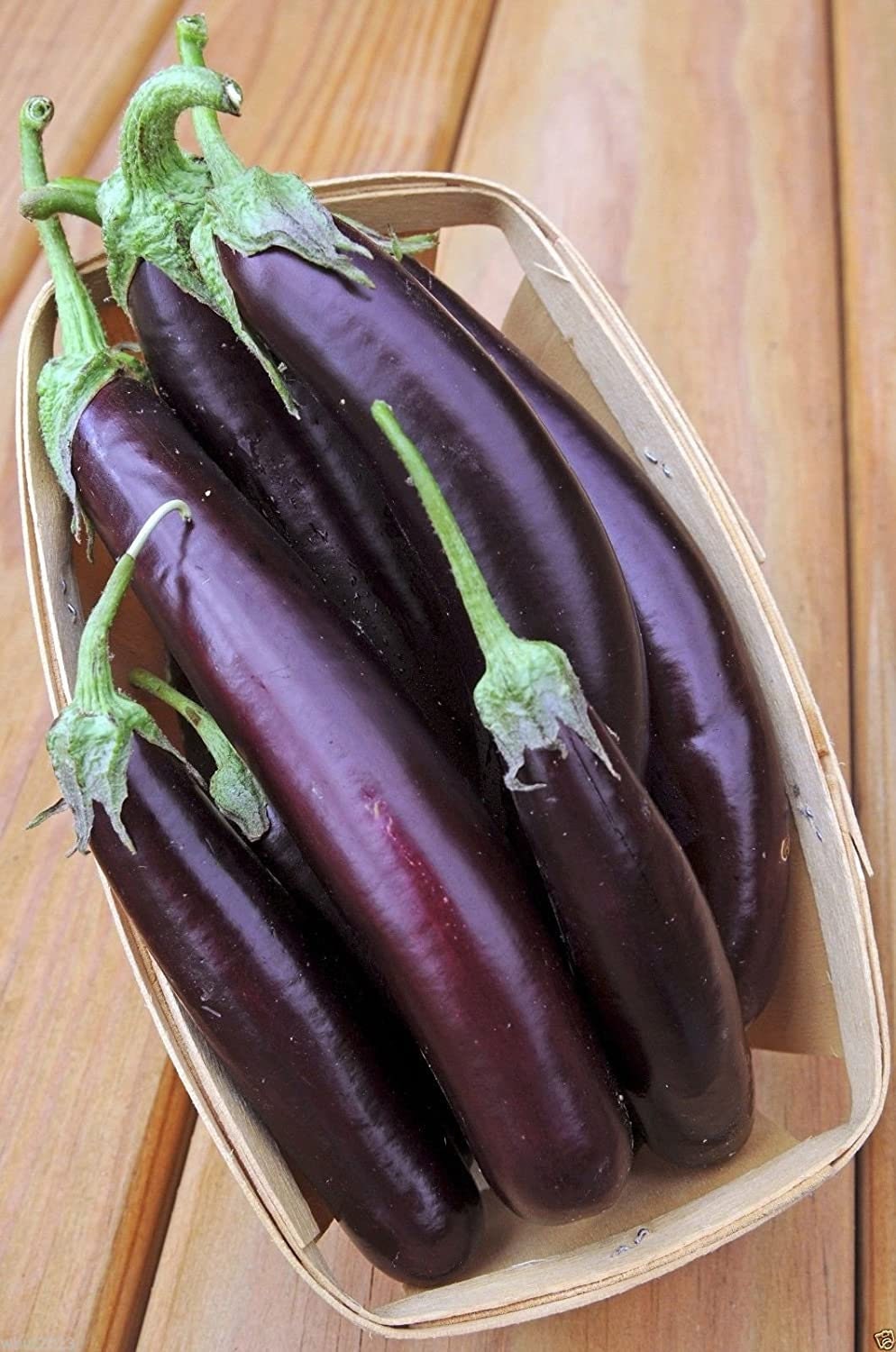 Long Purple Eggplant Seed for Planting | 100+ Seeds | Non-GMO Exotic Heirloom Vegetables | Great Gardening Gift