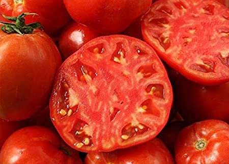 Beefsteak Tomato Seeds for Planting | Grow Delicious Beefsteak Tomatoes | Premium Heirloom Organic Seeds, Gardeners Choice