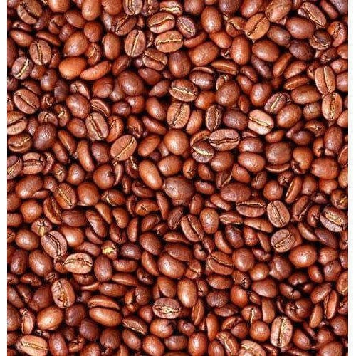 Arabica Coffee Tree Seeds - 5 Seeds to Plant - Great Exotic Indoor Houseplant