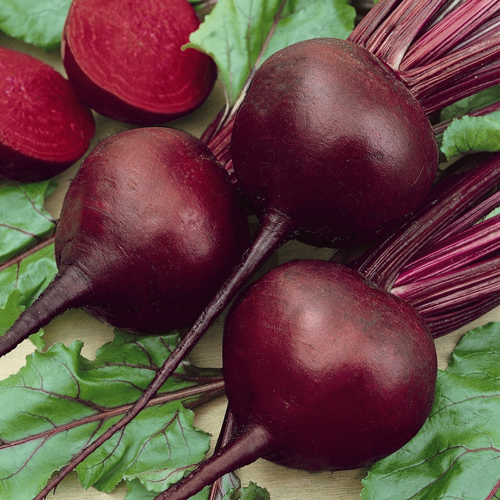 Detroit Red Beets Seed - 250+ Seeds - Made in USA, Ships from Iowa.