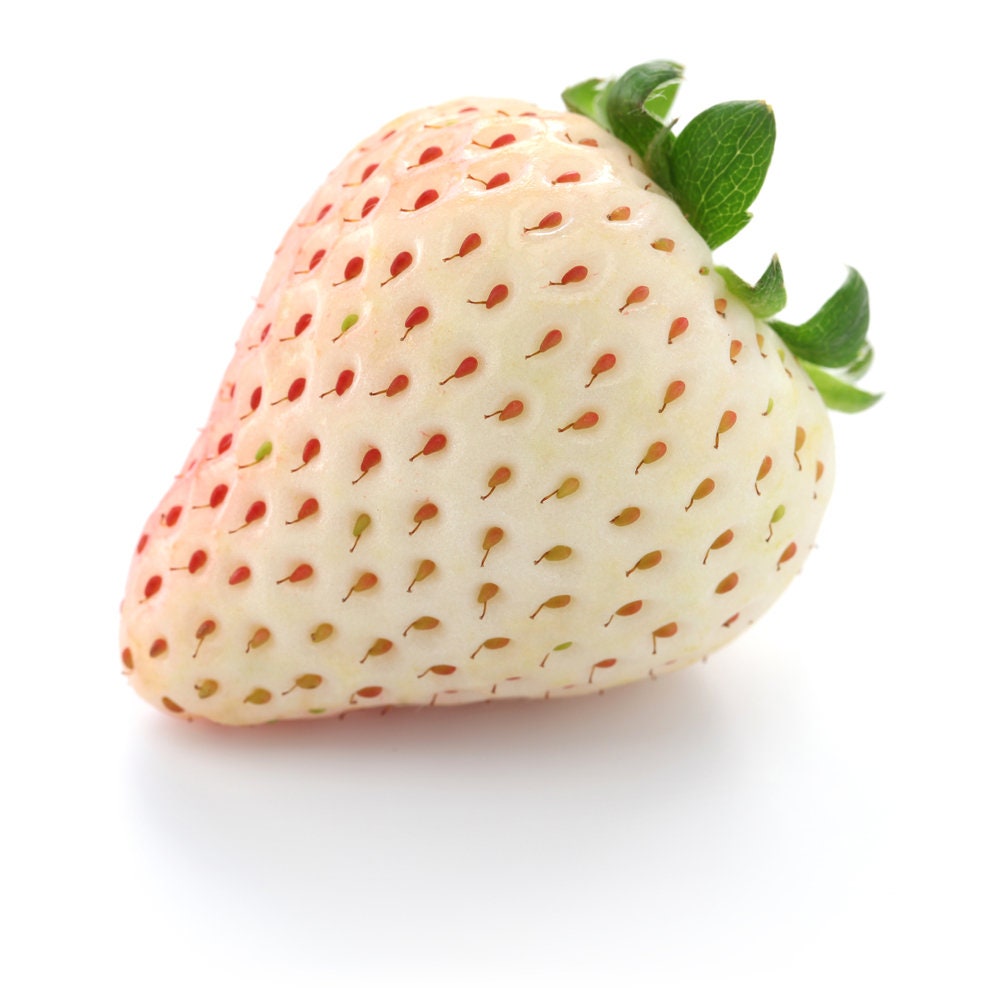 pineberry strawberry seeds Everbearing White Strawberry Seeds - 250+ Seeds