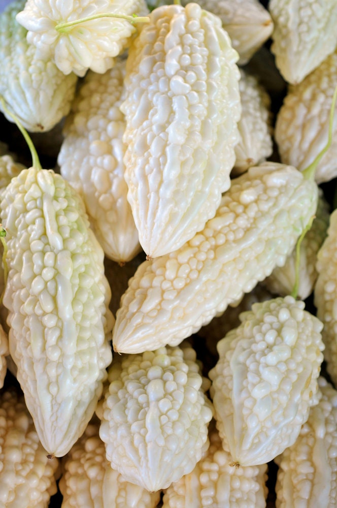 10 Exotic White Bitter Gourd Seeds for Planting Bitter Melon or Bitter Gourd Rare and Hard to Find Ships from Iowa, USA
