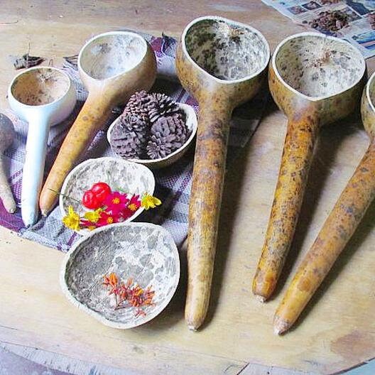 Dipper Gourd Seeds for Planitng | 10 Seeds | Made in USA, Ships from Iowa.