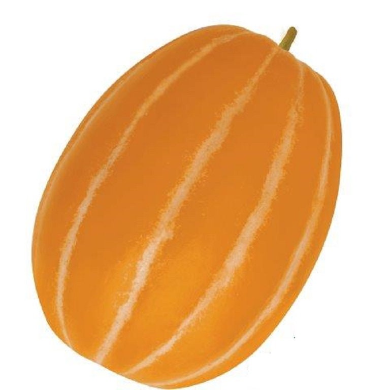 10 Korean Melon - Rare Orange Skinned Melon