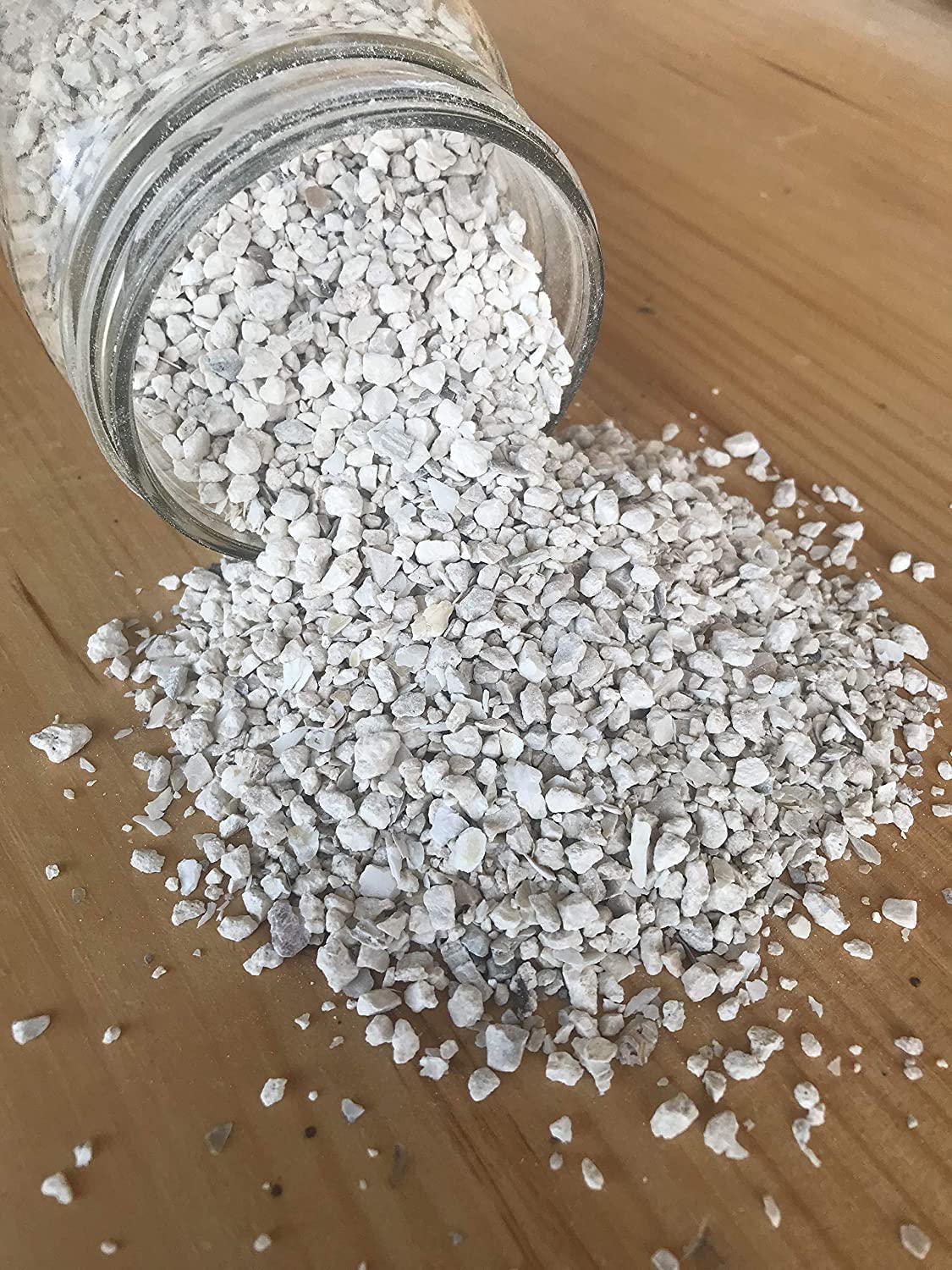 CZ Grain Calcium and Crushed Oyster Shells Grit for Chickens and Ducks