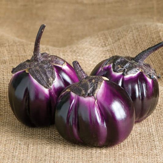 50 Barbarella Eggplant Seeds for Planting Non-GMO Exotic Eggplant