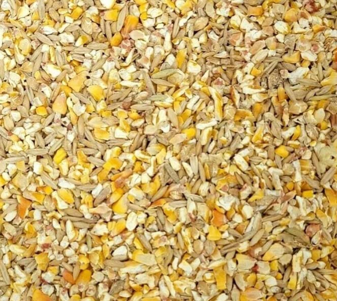 CZ Grain Premium Scratch Grains Bird Feed - Corn, Sunflowers, Wheat, Oats, Barley, Milo and Millet - Well Balanced Mix for Great Nutrition for Chickens and Ducks