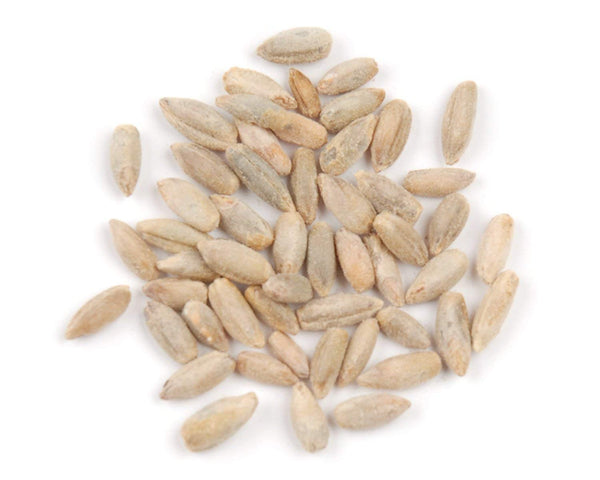 1 Pound | Organic Rye Berries | Whole Grain Rye – Curranfarms