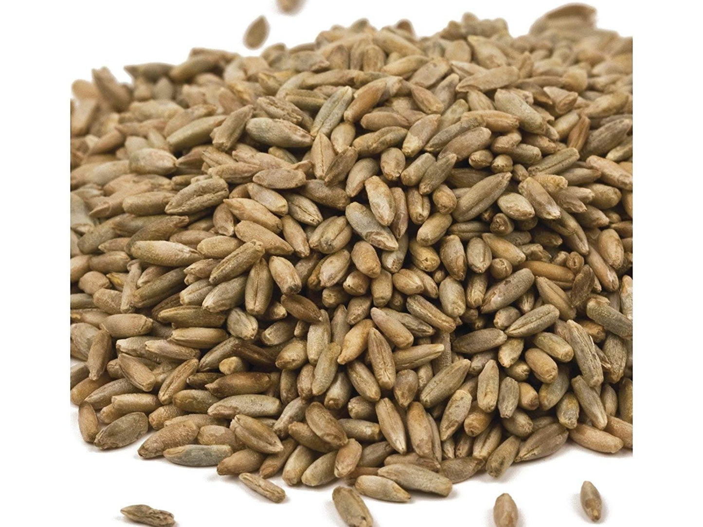 5 lbs Organic Rye Berries