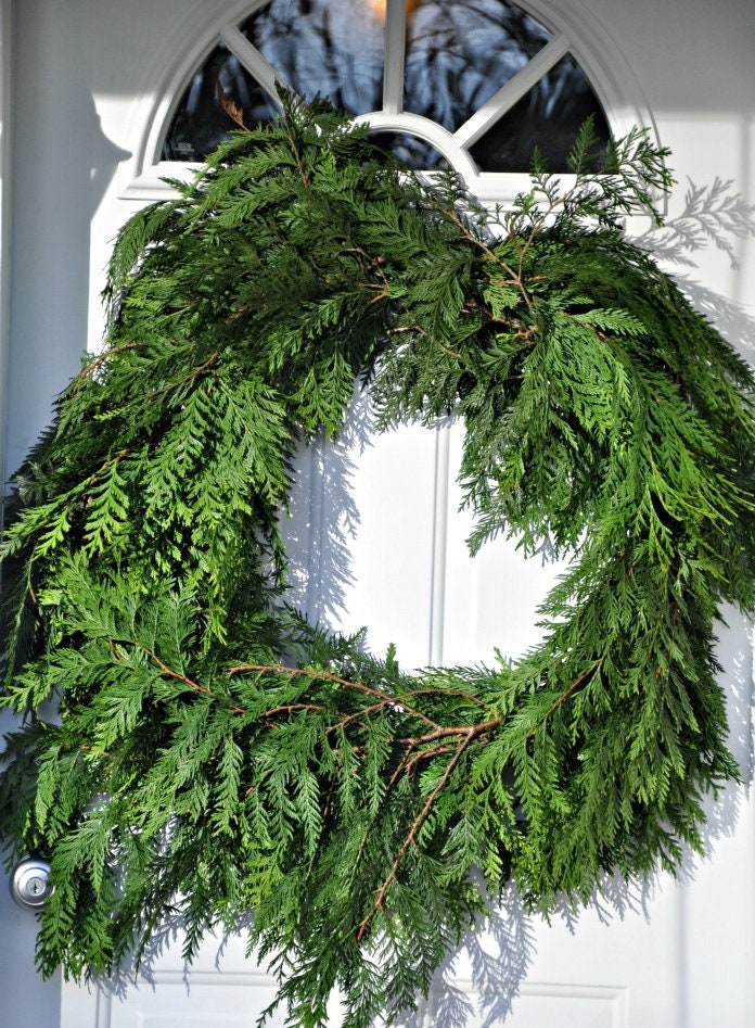 20 Real Red Cedar tree Branches, Freshly cut, Wreaths, garlands, Christmas decorations ,Wedding decorations. 20 Branches