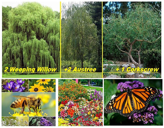 Global Warming Reversal Kit -  Live Trees + 28 Species Perennial Pollinator Garden Seed Packet - Help Monarch Butterflies and Bees