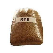 20 Pounds Winter Rye Seeds - Great Cover Crop or Food Plot