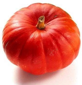 12 Japanese Heirloom Red Kuri Hokkaido Squash Seed - Organic Squash Seeds -  Kabocha squash seeds