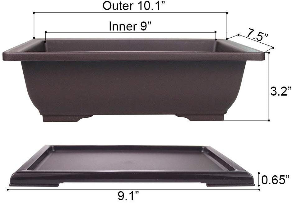 3 Large 10 Inch Bonsai Tree Pots - Drainage holes and Drip Tray. Its great for willows or seediings.