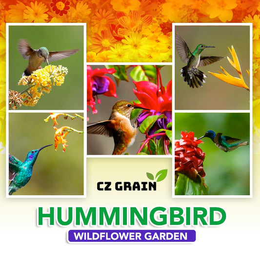 Hummingbird Garden Kit - Attract Hummingbirds with Diverse Wildflower Seed Mix