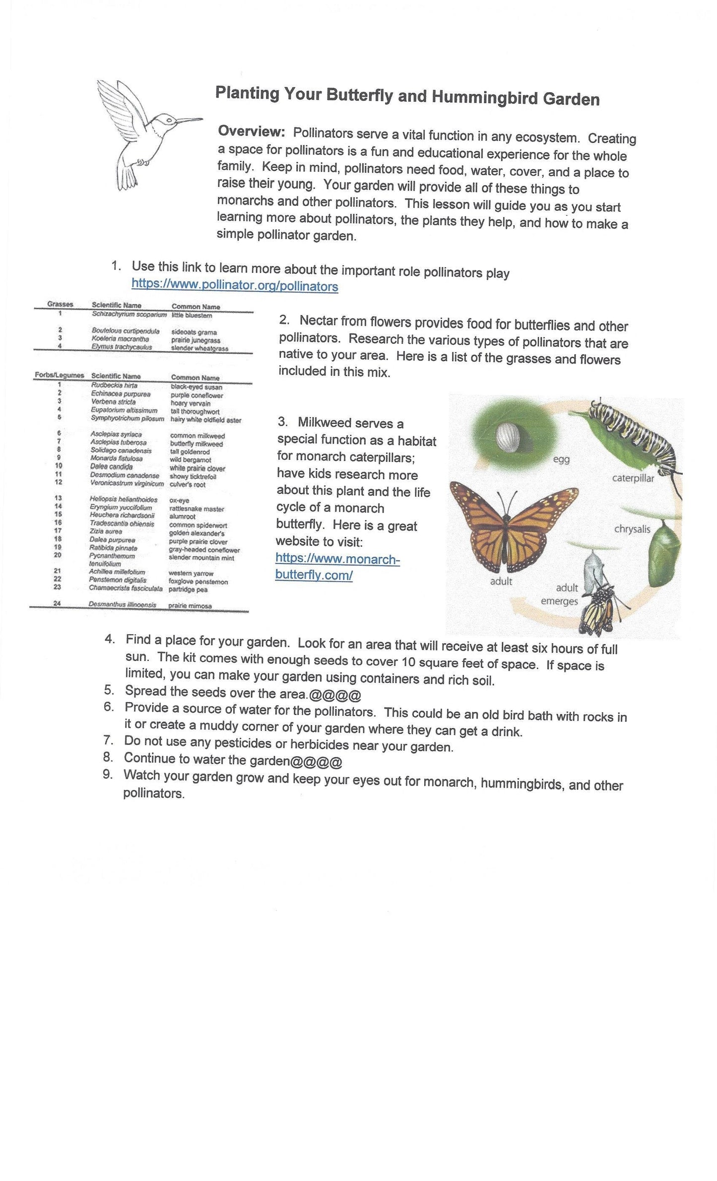 Outdoor STEM Kit. Grow a Pollinator Garden that Hummingbirds and Butterflies Love. Monarch Butterfly