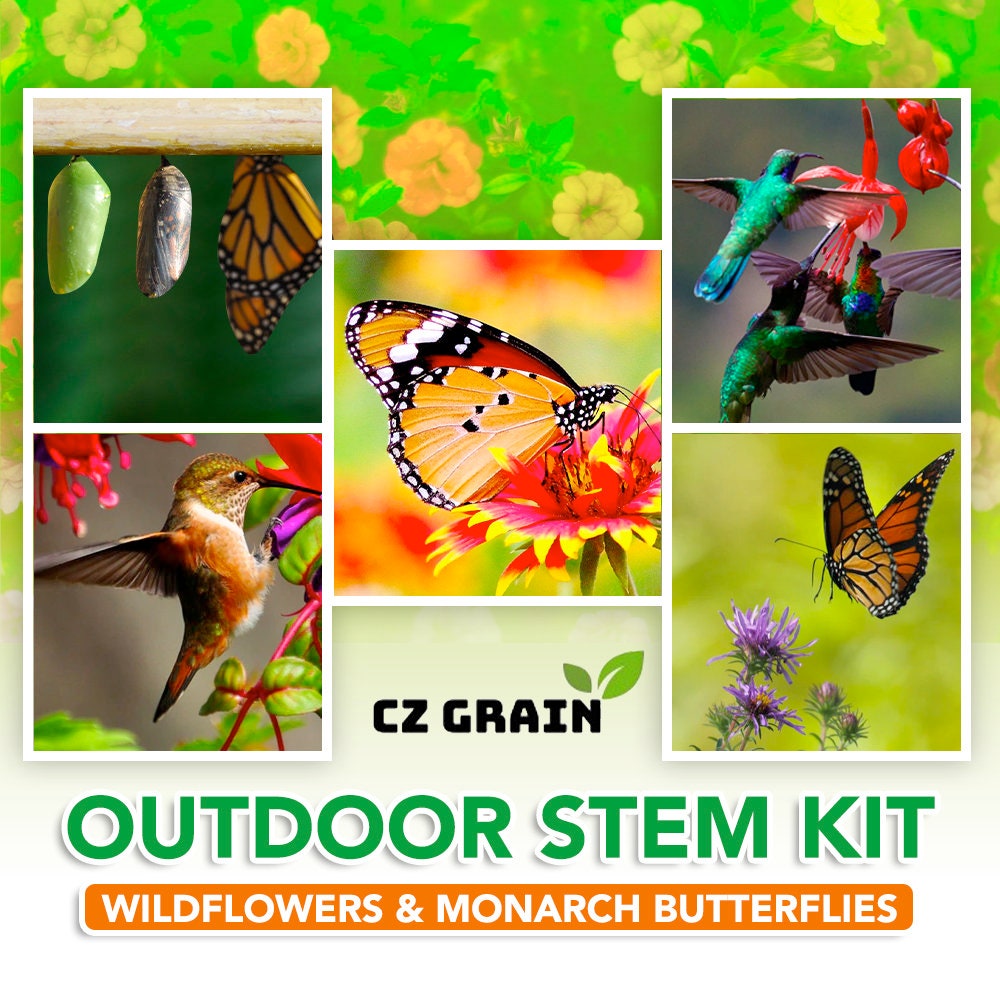 Outdoor STEM Kit. Grow a Pollinator Garden that Hummingbirds and Butterflies Love. Monarch Butterfly