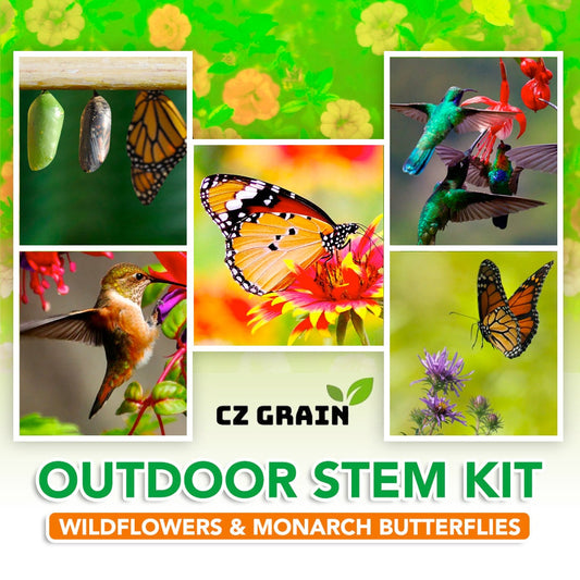 Outdoor STEM Kit. Grow a Pollinator Garden that Hummingbirds and Butterflies Love. Monarch Butterfly