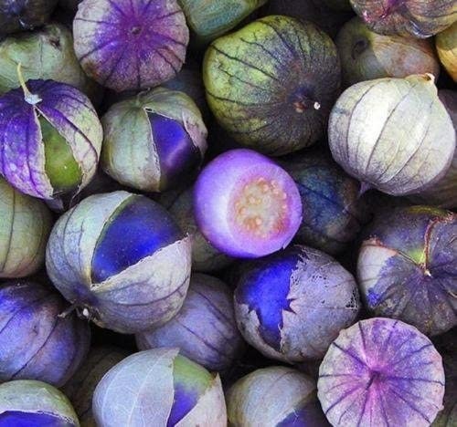 Rare Purple Coban Tomatillo Seeds | 100+ Seeds | 1in. Fruits | Exotic Garden Fruit Seeds for Planting | Made in USA, Ships from Iowa