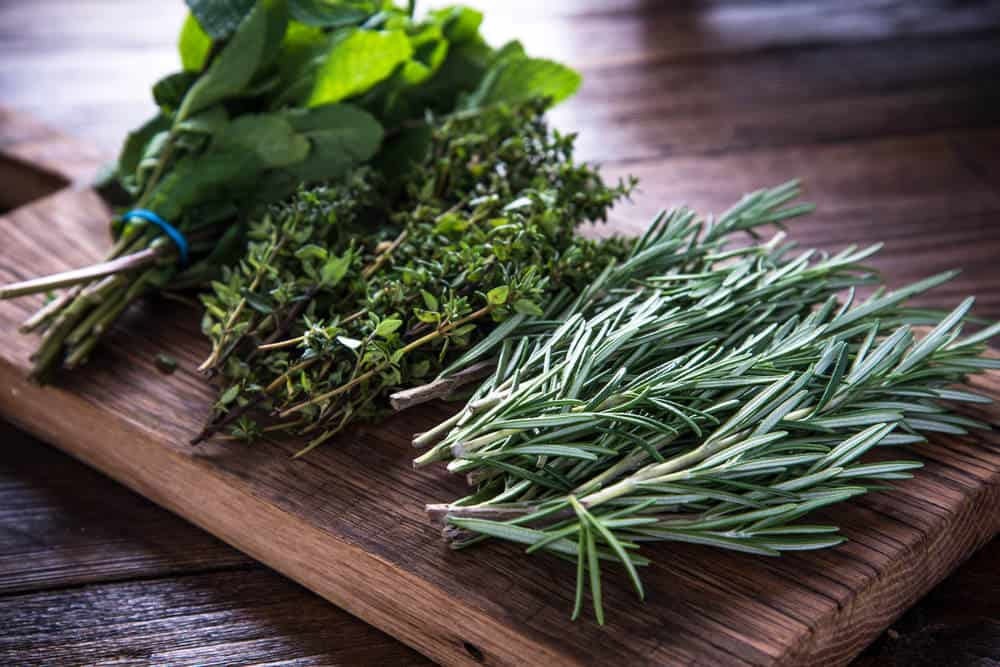 Herb Garden Kit | Chef 5 Pack | Parsley, Oregano, Cilantro, Dill, and Thyme | 5 Plant Markers | Herb Garden Seeds for Planting.