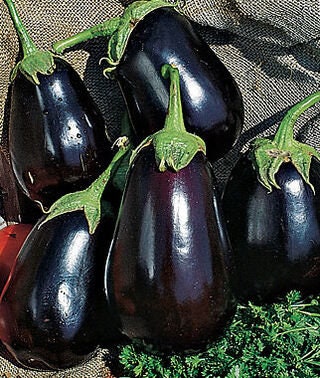 Black Beauty Eggplant Seeds | 150+ Seeds | Non-GMO Exotic Heirloom Vegetables | Great Gardening Gift