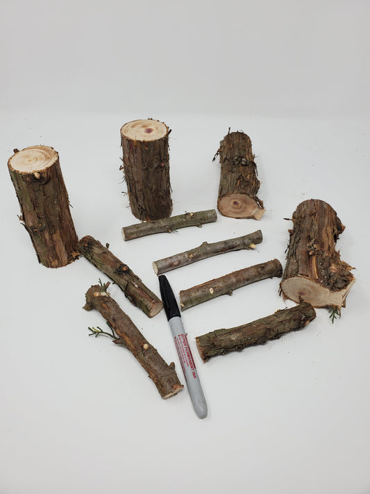 10 Wood Sticks for Crafting, Real Cedar Pole for DIY Projects and Decoration