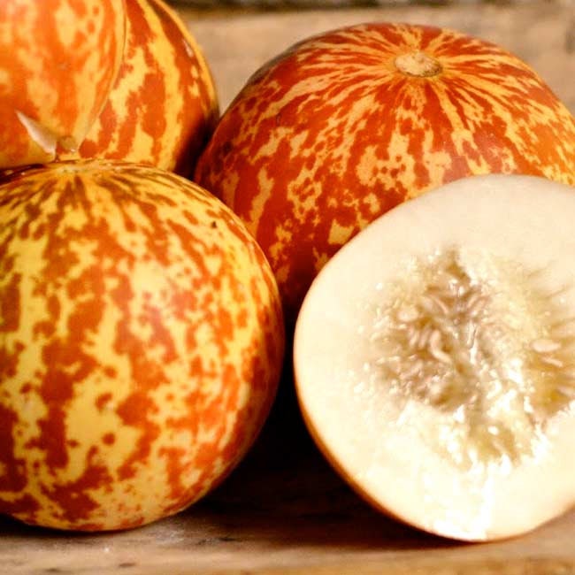 Tigger Melon Seeds | Grow This Exotic and Rare Garden Fruit | Edible Fruit to Grow, Tiger Melon