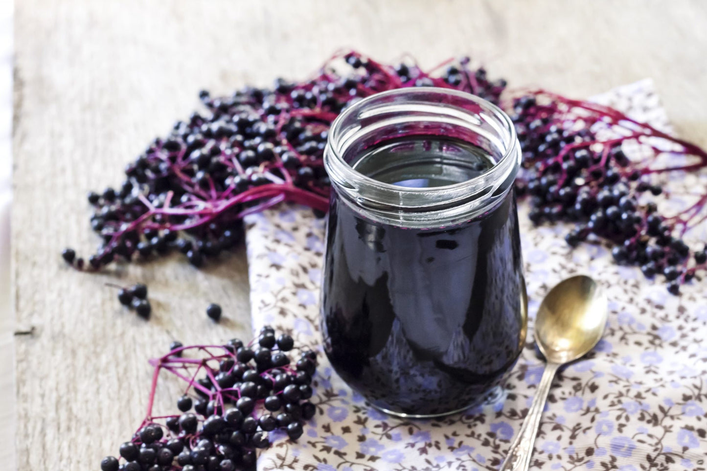 American Elderberry Seeds - 200 Seeds to Plant - Sambucus Canadensis - Non-GMO Seeds, Grown and Shipped from Iowa. Made in USA