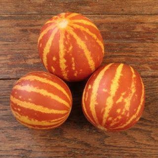 Tigger Melon Seeds | Grow This Exotic and Rare Garden Fruit | Edible Fruit to Grow, Tiger Melon