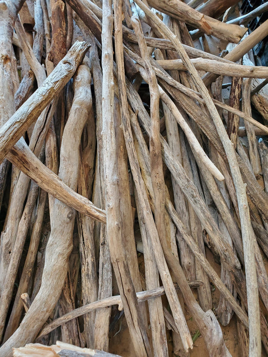 Driftwood Poles - Little Skinnys - 10 Pieces, 1-2 feet long and under an inch thick