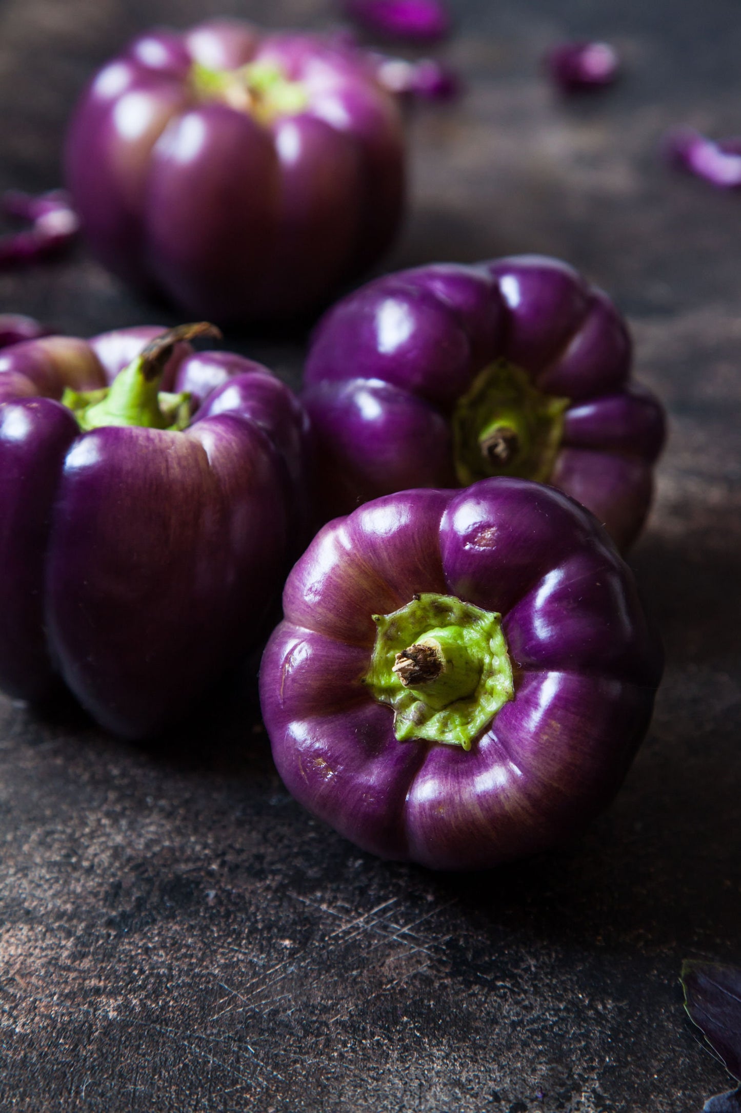 Purple Passion Pepper Seeds to Plant - 100+ Seeds - Great with Salads.  Add Amazing Flavor. Made in USA. Ships from Iowa