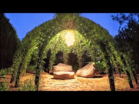 Living Willow Structure - 10 Trees - Iconic and Eye Appealing, Wedding Alter, Art Sculpture