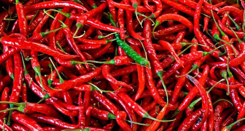 Long Red Cayenne Pepper Seeds to Plant - 100+ Seeds to Grow - Made in USA. Ships from Iowa. Non-GMO Garden Seeds for Sewing