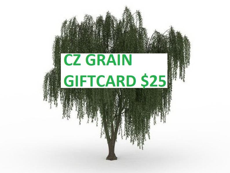 25 Dollar Gift Card to our shop