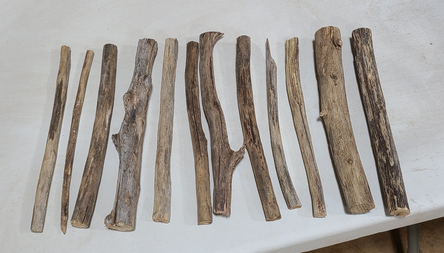 Bundle of Driftwood - 10+ Pieces - 12 inches long