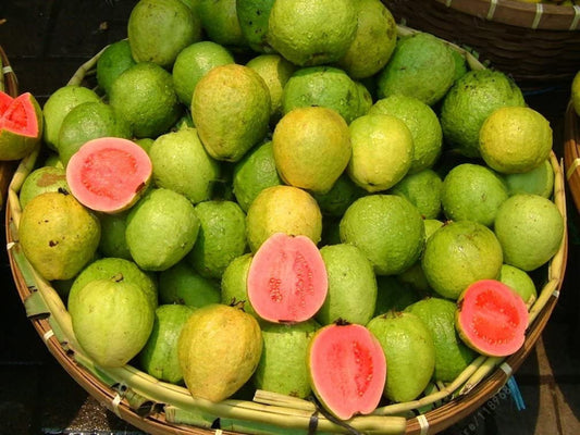 Lemon Guava Seeds - 100 Seeds to Grow - Exotic and Delicious Tropical Fruit. Great for Bonsai Tree - Fruit Seed for Sewing