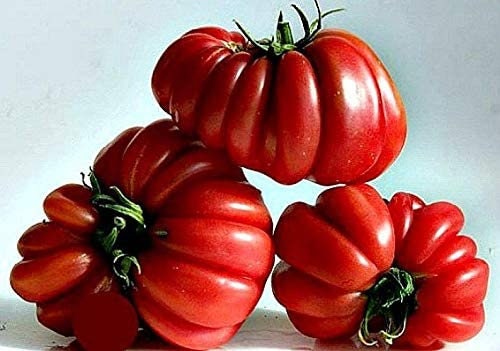 Zapotec Ruffled Tomato Seeds -Fresh Seeds to Grow - Exotic and Delicious Heirloom Vegetable Seeds for Planting - Non-GMO