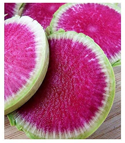 Watermelon Radish Seeds for Planting - Colorful and Delicious Radish - Exotic Vegetable Seeds - Made in USA