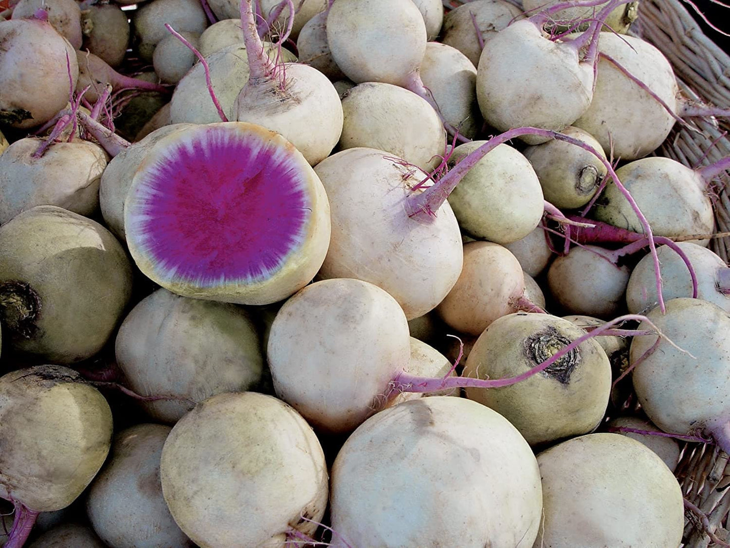 Watermelon Radish Seeds for Planting - Colorful and Delicious Radish - Exotic Vegetable Seeds - Made in USA