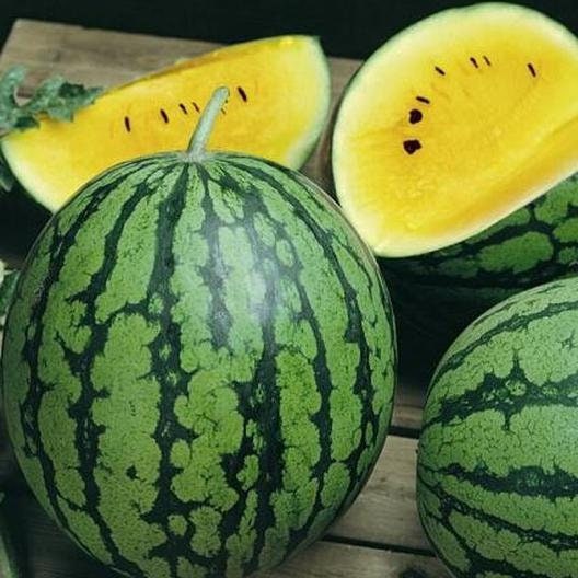 Heirloom Yellow Watermelon Seeds - Grow Exotic Yellow Watermelons, Delicious - Made in USA, Ships from Iowa.