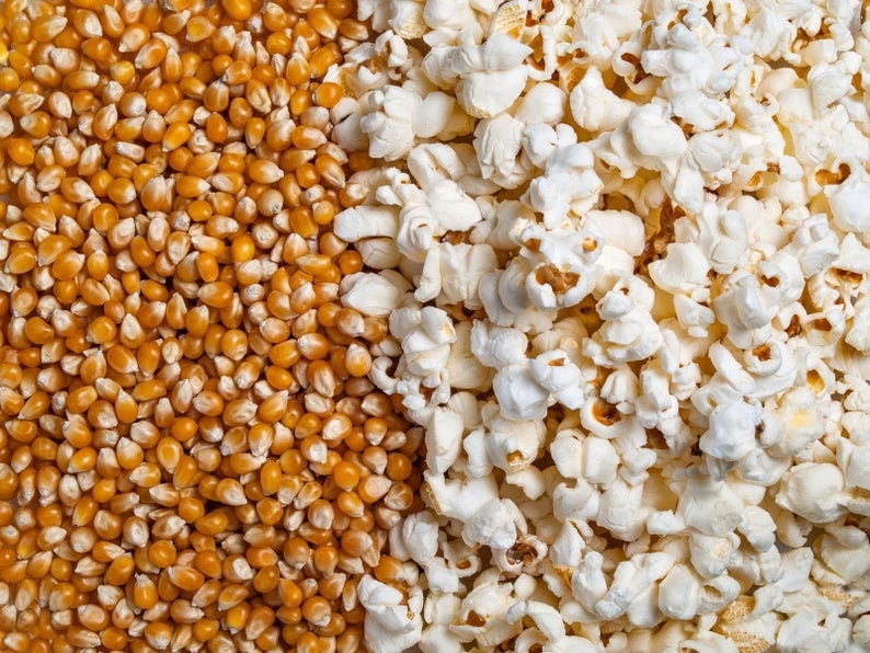 Snow Puff Popcorn Seeds to Grow - 25+ Seeds - Made in USA. Grow Your own Popcorn