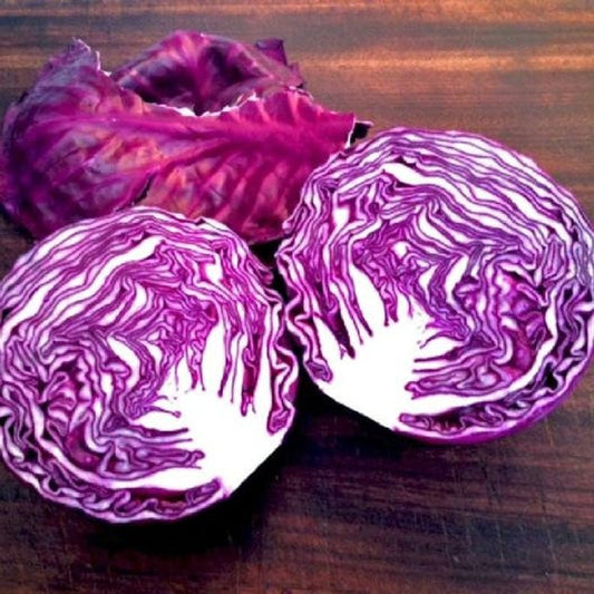 Red Acre Cabbage Seeds - 250+ Seeds - Made in USA, Ships from Iowa