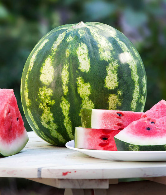 Crimson Watermelon Seeds to Grow - 10+ Seeds - Made in USA, Ships from Iowa