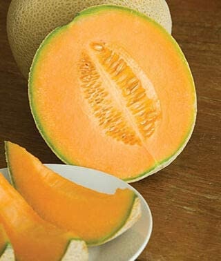 Fresh Cantaloupe Seeds - Heirloom, Open Pollinated, Non GMO - Made in USA, Ships from Iowa