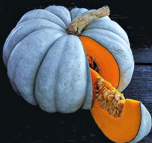 Exotic Blue Jarrahdale Pumpkin Seeds | 20 Pack |  Made in USA, Ships from Iowa.