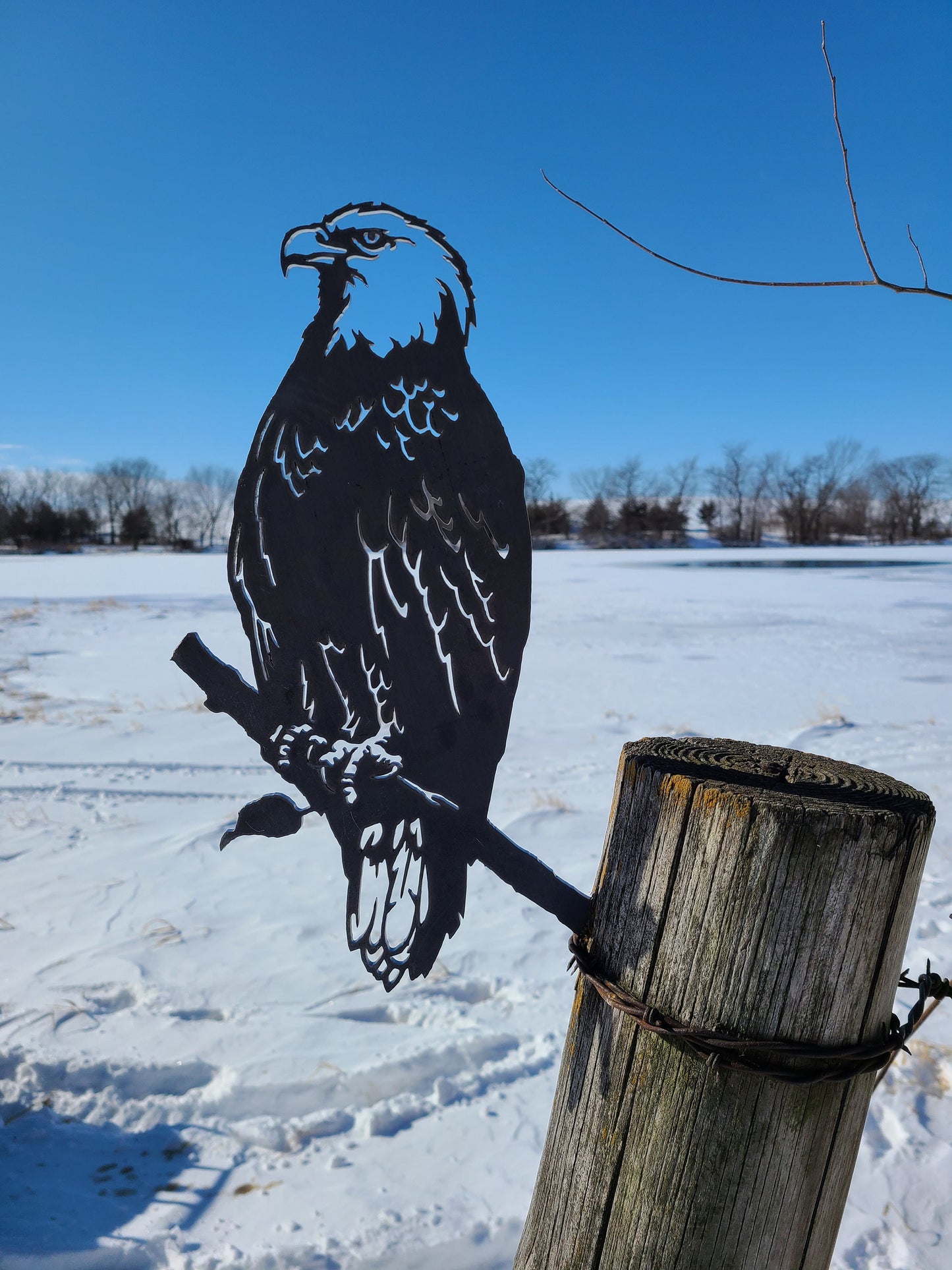 Bald Eagle Metal Art - Made in USA - Garden Sculpture