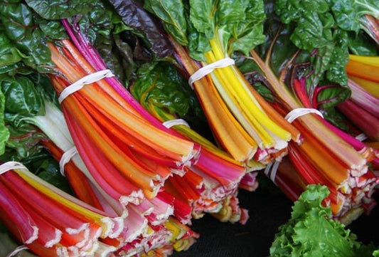 Swiss Chard Seeds for Planting - 100+ Seeds - Rare Colorful Garden Vegetable Seeds